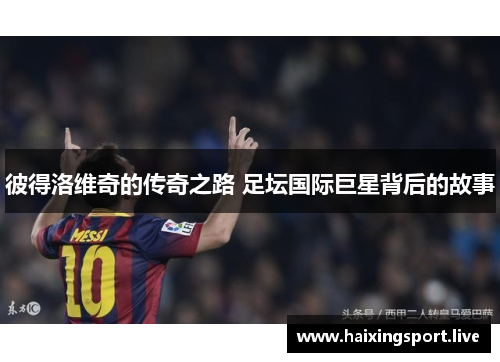 彼得洛维奇的传奇之路 足坛国际巨星背后的故事 彼得洛维奇的传奇之路 足坛国际巨星背后的故事
